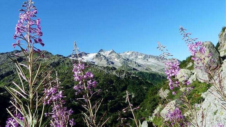 அசல் பழைய பாஸ்போர்ட், பாஸ்போர்ட்டின் முதல் இரண்டு மற்றும் கடைசி இரண்டு பக்கங்களின் அட்டெஸ்ட் செய்யப்பட்ட நகல், எமிக்ரேஷ்ன் காசோலை தேவை அல்லாது பக்கத்தின் சுய - சான்றளிக்கப்பட்ட நகல் ஆகியவை சமர்ப்பிக்க வேண்டும்.