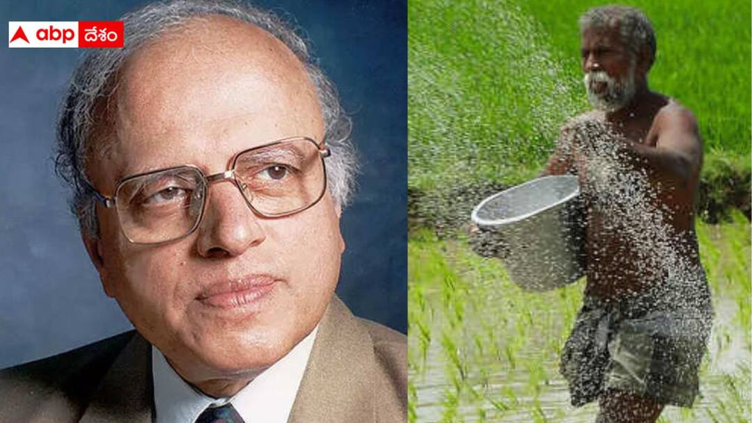 Architect Of Green Revolution MS Swaminathan A Look At Bharat Ratna Awardee Life Bharat Ratna 2024: భారత దేశం ఆకలి తీర్చిన MS స్వామినాథన్, ఆహార భద్రత ఆయన చలవే
