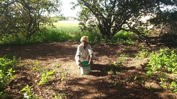 इस साल उन्होंने 4 बीघा जमीन में लहसुन की बुवाई की है. उन्होंने आगे कहा कि किसान कर्ज लेकर खेती करते हैं और मुनाफा व्यापारी कमाते हैं. किसान और कर्जदार होता जाता है. किसान मजबूरी में अपनी फसल को बेंचता है, क्योंकि उसके पास स्टोरेज के लिए कोई संसाधन नहीं है.