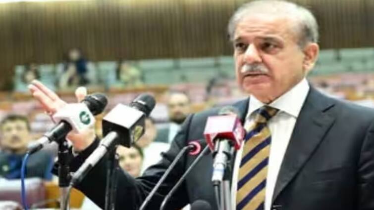 Pakistan Election Result : Pakistan Elections Results Shehbaz Sharif Wins From Lahore Pakistan Election Result : પૂર્વ વડાપ્રધાન શહબાઝ શરીફ જીત્યા, ઇમરાનની PTI સમર્થિત પાંચ, નવાઝના 4 ઉમેદવારોની જીત