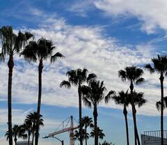 Sanjana Sanghi Hints 'New Adventures' As She Poses Underneath The Californian Skies