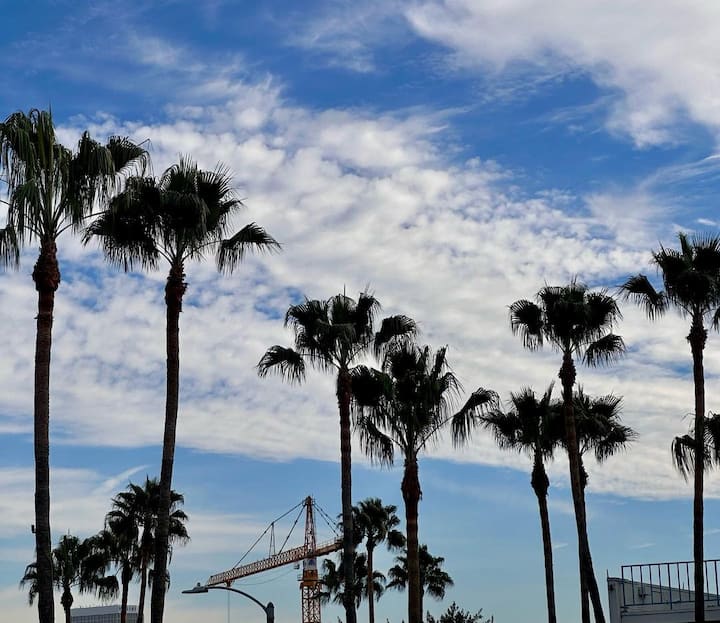 Reading her caption, it seems that another big surprise is in store for her fans. (Image Source: Instagram/Sanjana Sanghi)