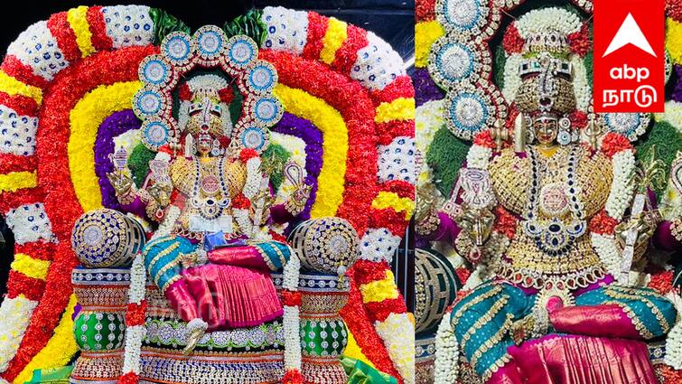 Thai amavasai 2024 Melmalayanur Angalaman in Rajarajeshwari decoration on the occasion amavasai - TNN Thai amavasai 2024: ராஜராஜேஸ்வரி அலங்காரத்தில் காட்சியளித்த மேல்மலையானூர் அங்காளம்மன்