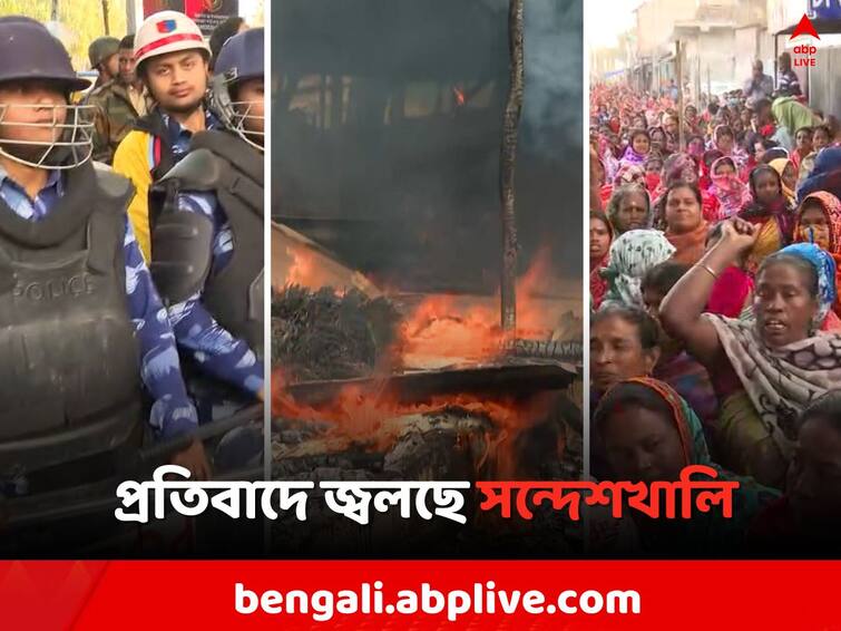 Active Fire Arms violence continue in Sandeshkhali Sandeshkhali Violence: ফের জ্বলল আগুন,আগ্নেয়াস্ত্র নিয়ে দাপাদাপি সন্দেশখালিতে