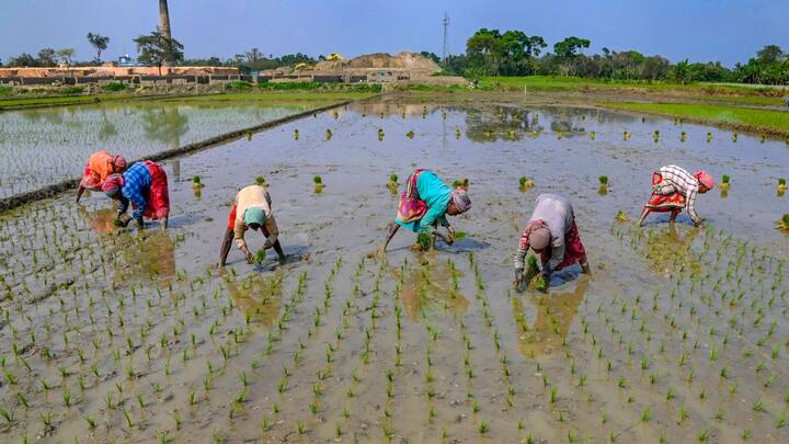 কলকাতায় আজ সর্বনিম্ন তাপমাত্রা ১৫.২ ডিগ্রি সেলসিয়াস। স্বাভাবিকের থেকে ২ ডিগ্রি কম।