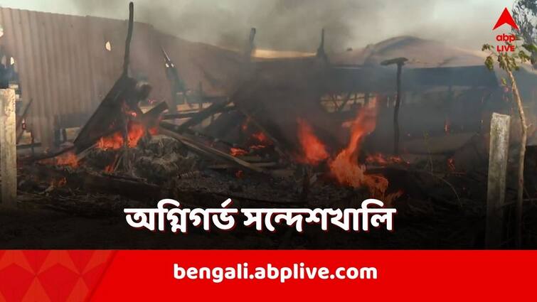 Agitated Villagers set fire in Poultry farm of TMC leader Shibu Hazra in Sandeshkhali North 24 Parganas Sandeshkhali Incident: ফের অগ্নিগর্ভ সন্দেশখালি, TMC নেতার পোলট্রি ফার্মে আগুন