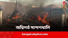 ফের অগ্নিগর্ভ সন্দেশখালি, TMC নেতার পোলট্রি ফার্মে আগুন