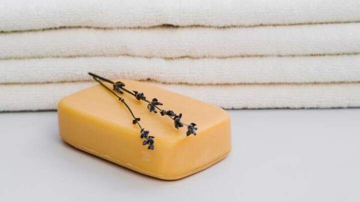 अमेरिकन क्लीनिंग इंस्टीट्यूट की रिपोर्ट के मुताबिक प्राचीन बेबीलोन सभ्यता से भी हजारों साल पहले साबुन के इस्तेमाल के प्रमाण मिले हैं. पुरातत्वविदों को इस बात के प्रमाण मिले हैं कि प्राचीन बेबीलोन के लोग 2800 ईसा पूर्व साबुन बनाना जानते थे. क्योंकि उस वक्त के मिट्टी के सिलेंडरों में साबुन जैसी सामग्री मिली है. बता दें कि इन पर लिखा था कि हम 'राख के साथ उबली हुई चर्बी' (साबुन बनाने की एक विधि) का उपयोग सफाई के लिए करते हैं.