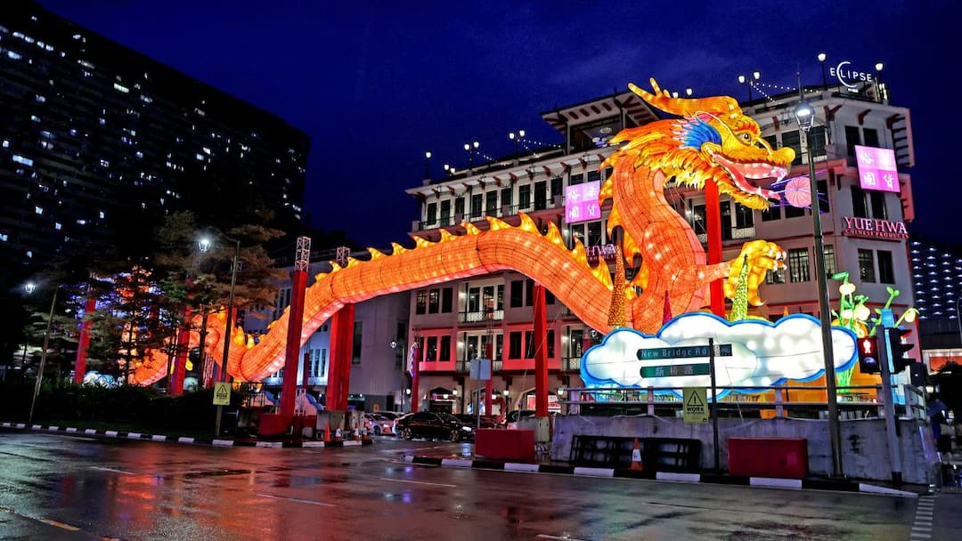 Singapore PM's: ”குடும்பத்தில் ஒரு குட்டி டிராகனை சேர்த்துக் கொள்ளுங்கள்” - சிங்கப்பூர் பிரதமர் கோரிக்கை