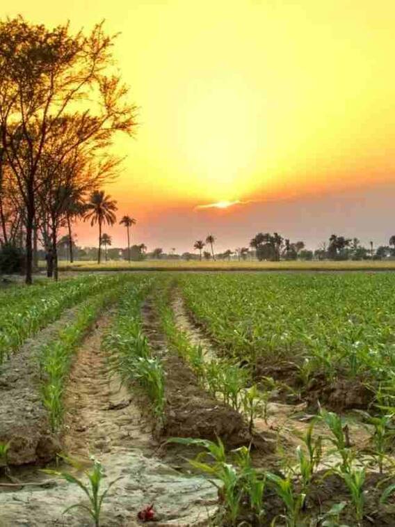 फरवरी में घूमने के लिए पंजाब की ये जगह है खास