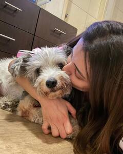 Trisha Latest Photos: ప్రేమ వారం.. సమ్‌థింగ్‌ స్పెషల్‌ అంటూ ఇంట్రెస్టింగ్‌ ఫొటోలు షేర్‌ చేసిన త్రిష