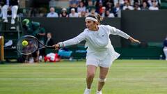 Sania Mirza: শোয়েব পর্ব অতীত, কিন্তু সানিয়ার জীবনে পাক ক্রিকেটারের আগেও ছিলেন আরও একজন, কে তিনি?