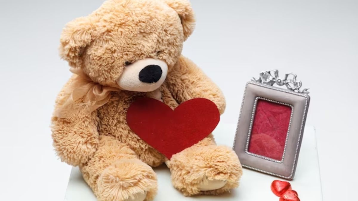 Happy Teddy Day 2024 Wishes: टेडी डे पर अपनी पार्टनर को भेजें ये रोमांटिक विश, टेडी जैसे रखेगी पास
