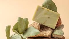 सबसे पहले साबुन कहां बना, आखिर किसके दिमाग में आया था आइडिया