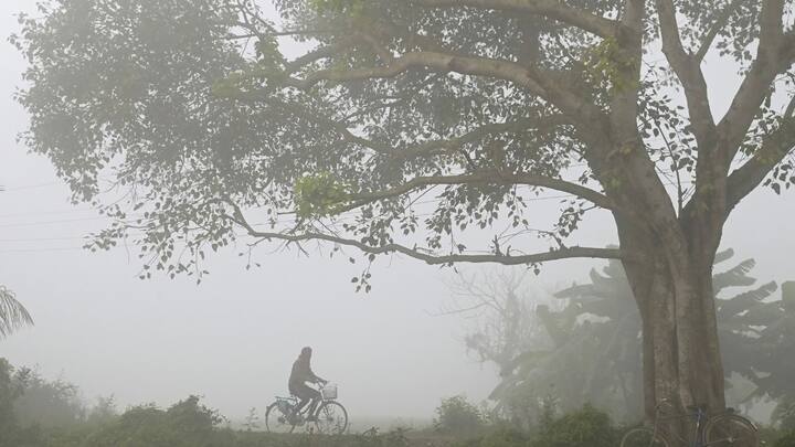 উত্তরবঙ্গের জেলাগুলিতে থাকবে বিক্ষিপ্ত কুয়াশা। হালকা বৃষ্টির সম্ভাবনা রয়েছে দার্জিলিঙে।