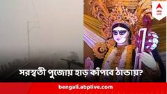 ঘুরে দাঁড়াল শীত, তাপমাত্রা নামল অনেকটাই, সরস্বতী পুজোয় হাড় কাঁপবে ঠান্ডায়?
