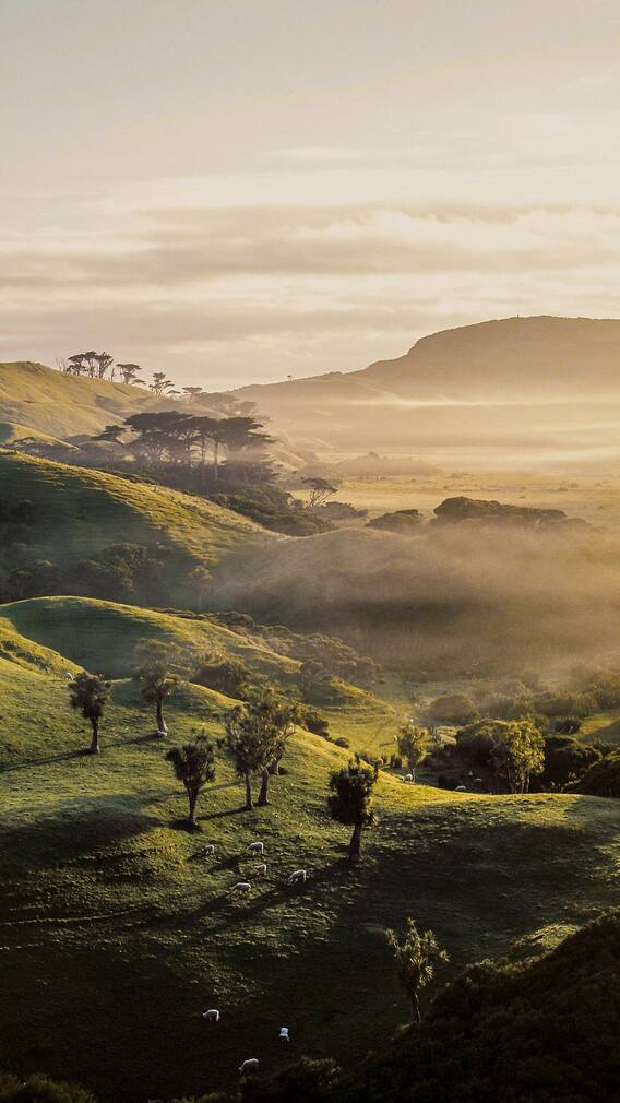 जगातील 10 सर्वात शांतप्रिय देश!