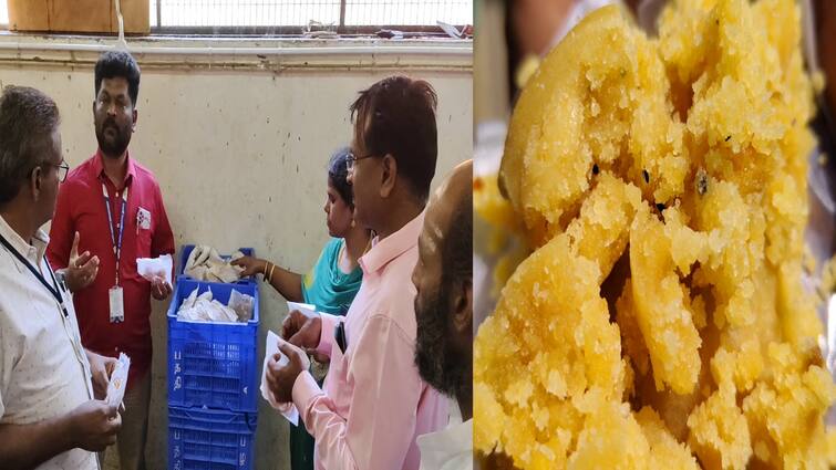 Spoiled offerings sold on behalf of the Palani Devasthanam Devotees are shocked பழனி தேவஸ்தான நிர்வாகம் சார்பில் கெட்டுப்போன பிரசாதங்கள் விற்பனையா? பக்தர்கள் அதிர்ச்சி
