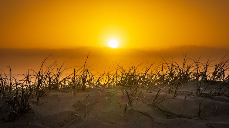 Dry weather will prevail in Tamil Nadu for the next few days weather report TN Weather: தமிழகத்தில் அடுத்த சில தினங்களுக்கு வறண்ட வானிலை - சென்னையில் நிலவரம் எப்படி?