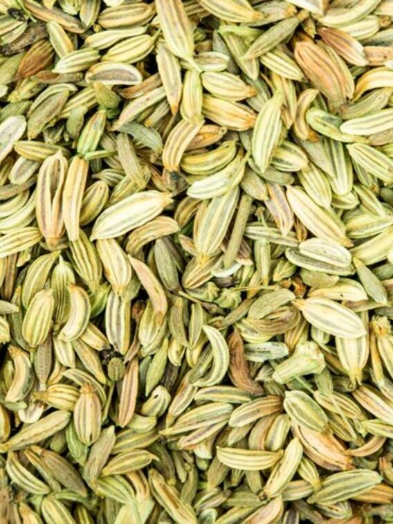 वजन कम करने से पेट सही रखने तक, सौंफ के फायदे हैं अनेक