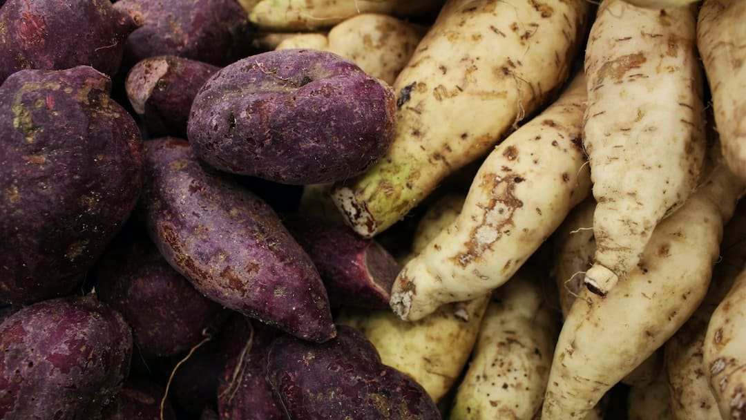 sweet potato benefits eats it regularly know what experts says क्या आपको पता हैं शकरकंद खाने के फायदे? अगर नहीं तो आज जान लीजिए...