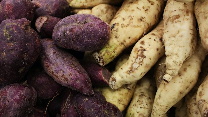 sweet potato benefits eats it regularly know what experts says क्या आपको पता हैं शकरकंद खाने के फायदे? अगर नहीं तो आज जान लीजिए...