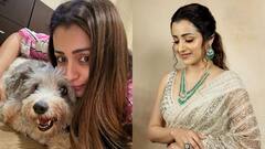 Trisha Latest Photos: ప్రేమ వారం.. సమ్‌థింగ్‌ స్పెషల్‌ అంటూ ఇంట్రెస్టింగ్‌ ఫొటోలు షేర్‌ చేసిన త్రిష