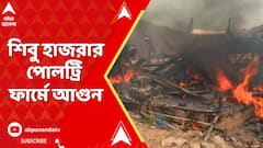 জেলিয়াখালিতে তৃণমূল নেতা শিবু হাজরার পোলট্রি ফার্মে আগুন