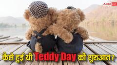 Teddy Day 2024: इस वजह से हुई टेडी डे की शुरुआत, दिलचस्प है कहानी
