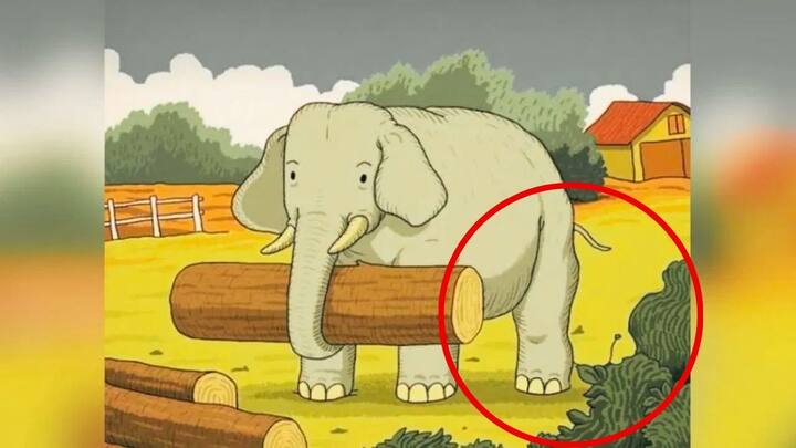 लेकिन 10 सेकंड बीत जाने पर भी आप अब तक पता नहीं कर पाए हैं. तस्वीर के किस हिस्से में दूसरा कौन सा जानवर है. तो बता दे इसमें एक घोड़ा छुपा हुआ है. जिसपर हमने लाल कलर का एक सर्किल बना दिया है. ताकि आप देख सकें.