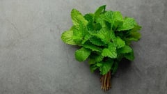 हर रोज पुदीने के पत्ते और चटनी खाने से शरीर पर होता है कुछ ऐसा असर?