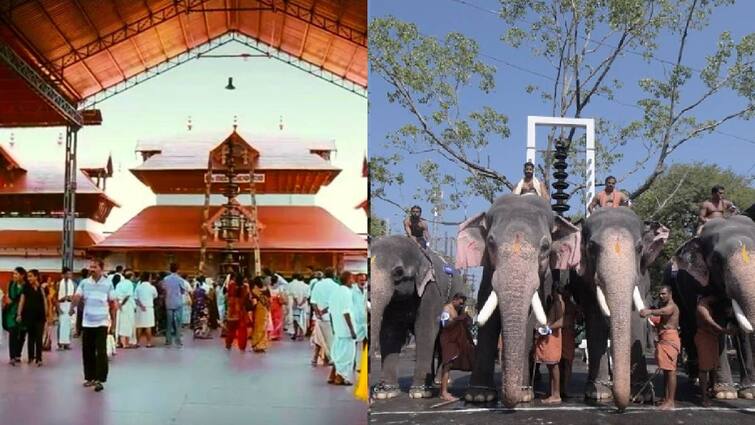 Kerala HC condemn to hitting elephants and wants audit of elephant centre at Guruvayur temple Guruvayur Temple: ஜெயலலிதா வழங்கிய யானைகளை துன்புறுத்திய பாகர்கள் .. கேரள உயர்நீதிமன்றம் கண்டனம்
