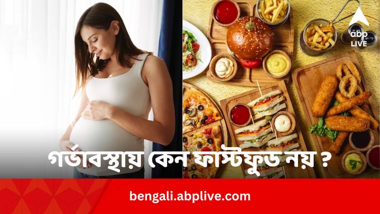 Avoid fast foods while pregnant due to phthalate presence: study Pregnancy Health Issues: গর্ভাবস্থায় কেন খাবেন না ফাস্টফুড ? সমস্যা খাবারে না অন্যকিছুতে ?