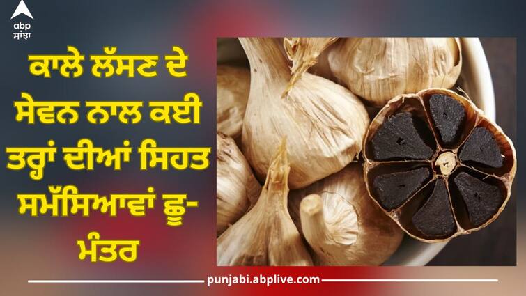 Black Garlic benefits: Add black garlic to your diet today, eating it will give body these 5 powerful benefits Black Garlic Benefits: ਅੱਜ ਹੀ ਆਪਣੀ ਡਾਈਟ ‘ਚ ਸ਼ਾਮਿਲ ਕਰੋ ਕਾਲਾ ਲੱਸਣ, ਖਾਣ ਨਾਲ ਸਰੀਰ ਨੂੰ ਮਿਲਣਗੇ ਇਹ 5 ਜ਼ਬਰਦਸਤ ਫਾਇਦੇ