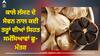 Black Garlic Benefits: ਅੱਜ ਹੀ ਆਪਣੀ ਡਾਈਟ ‘ਚ ਸ਼ਾਮਿਲ ਕਰੋ ਕਾਲਾ ਲੱਸਣ, ਖਾਣ ਨਾਲ ਸਰੀਰ ਨੂੰ ਮਿਲਣਗੇ ਇਹ 5 ਜ਼ਬਰਦਸਤ ਫਾਇਦੇ