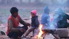 Rajasthan Weather: राजस्थान में बढ़ेगी या कम होगी सर्दी? जानिए आने वाले दिनों में कैसा रहेगा मौसम