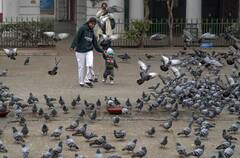 Weather Update Today: दिल्ली में वैलेंटाइन डे के दिन मौसम रहेगा सुहाना, यूपी-बिहार में बारिश के बाद गिरेगा पारा, किन राज्यों में अलर्ट, यहां पढ़ें- IMD का अपडेट