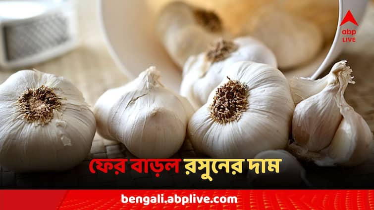 Kolkata Market Garlic Price Hike new Price know in Details Garlic Price: ফের বাড়ল রসুনের দাম, বাজারে গিয়ে নাভিশ্বাস আম জনতার