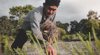 PMFBY: ਹੁਣ ਪ੍ਰਧਾਨਮੰਤਰੀ ਫਸਲ ਬੀਮਾ ਯੋਜਨਾ ‘ਚ ਮਿਲਣਗੀਆਂ ਤਿੰਨ ਹੋਰ ਸਹੂਲਤਾਂ, ਇੱਕ ਕਲਿੱਕ ‘ਚ ਪੜ੍ਹੋ ਪੂਰੀ ਜਾਣਕਾਰੀ