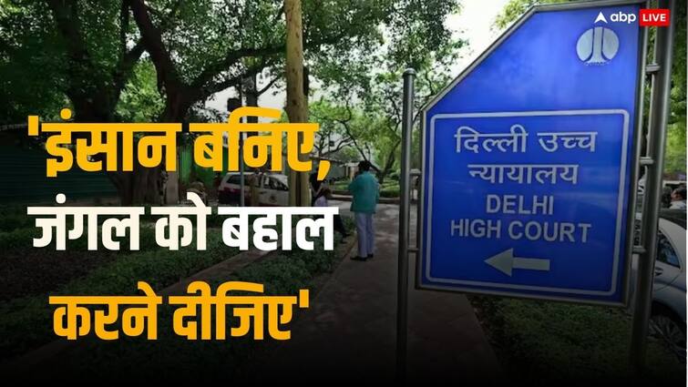 Why Delhi High Court call forests green lungs  Delhi: दिल्ली हाईकोर्ट ने जंगल को क्यों बताया हरित फेफड़े, जानें और क्या कहा?