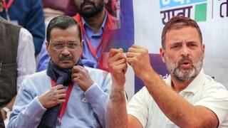 Lok Shaba Election: கழட்டிவிடப்பட்ட காங்கிரஸ்; பஞ்சாப்பில் ஆம் ஆத்மி தனித்தே போட்டி; கெஜ்ரிவால் புது ட்விஸ்ட்