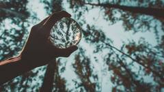 Optical Illusion : सब्जियों के इस ढ़ेर में गाजर ढूंढ कर बताइए, 10 सेकेंड में पता कर लिया तो सैल्यूट है आपको