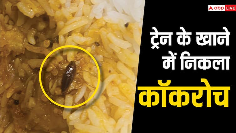 MP Cockroach found in Vande Bharat Train food Indian Railway imposed fine 45 thousand on catering company ANN MP News: 'वंदे भारत' ट्रेन में यात्री के खाने में निकला था कॉकरोच, अब केटरिंग कंपनी पर लगा इतना भारी जुर्माना