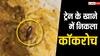 MP News: 'वंदे भारत' ट्रेन में यात्री के खाने में निकला था कॉकरोच, अब केटरिंग कंपनी पर लगा इतना भारी जुर्माना