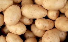 Agriculture: ਅਮਰੀਕਾ ‘ਚ ਇੰਨਾ ਮਹਿੰਗਾ ਵਿਕਦਾ ਆਲੂ, ਇੰਨੇ ਪੈਸਿਆਂ ‘ਚ ਖਰੀਦ ਲਓਗੇ ਕਈ ਕਿਲੋ ਸੇਬ-ਸੰਤਰੇ