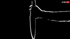 दर्दनाक! अमेरिकी पिता ने 5 साल की बेटी के किए कई टुकड़े, फिर लेकर पहुंच गया रेस्टोरेंट