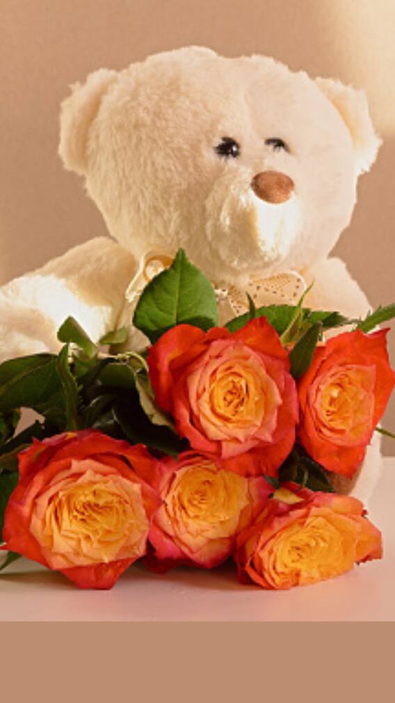 Teddy Day: Messages & Quotes To Share On FB, WhatsApp