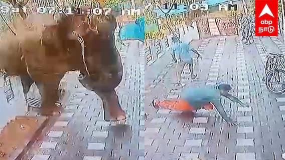 Kerala elephant CCTV : யானை மிதித்து பலி... மிரண்டு ஓடிய மக்கள்! பதறவைக்கும் CCTV காட்சி