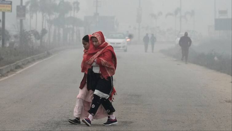 weather forecast today Haryana Punjab 10 February cold wave fog Chandigarh Sirsa Hisar Amritsar ka Mausam Haryana-Punjab Weather Today: शिमला-जम्मू से भी ठंडा रहा सिरसा, शीतलहर से बढ़ी ठंड, पंजाब में ऐसा रहेगा मौसम का हाल