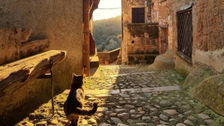 কিন্তু ১৯৬০ সালের মাঝামাঝি সময়ে পরিত্যক্ত Calcata-কে নতুন করে আবিষ্কার করেন ইতালি এবং অন্যত্র থেকে আসা শিল্পী, লেখক, কারিগর এবং বুদ্ধিজীবীদের একটি দল। সেখানে বসবাসের সিদ্ধান্ত নেন তাঁরা। বর্তমানে Calcata-র জনসংখ্যা প্রায় ১০০। তবে সেখানে মূলত হিপিদেরই বাস বলে জনশ্রুতি রয়েছে। ছবি: ফ্রিপিক।